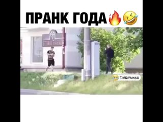 video by prikoldesy