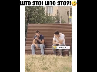 video by prikoldesy