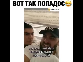 video by prikoldesy